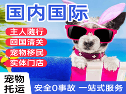 右旗巴丹吉林航空邮寄国际宠物托运 【国